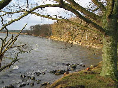 Bild 21 aus  Alte Scheune Krakvitz, Inh. Gisela Stolpe&Peter Hübner