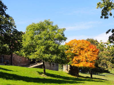 Bild 13 aus  Siefertshof