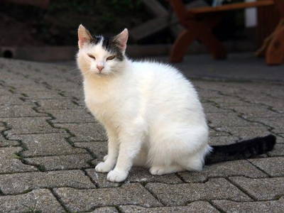 Unsere Mize, einfach zum lieb haben