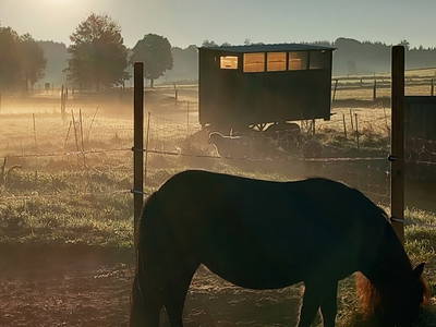 Bild 27 aus  Hof Wahls