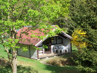 Bild 12 aus  Feriendorf  & Lama-Ranch