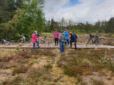 Bild 34 aus  Nordseefewo Lämmerblick