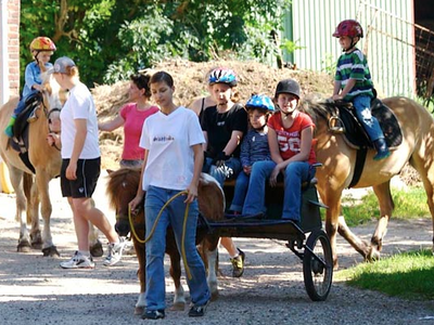 Bild 8 aus  Ferienhof Johannsen