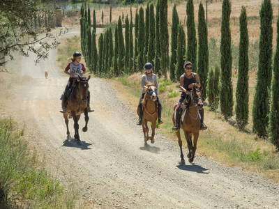 Bild 2 aus  Gutshof  Tenuta del Fontino