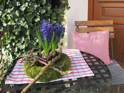 Bild 6 aus  Franzen Hof  Koch