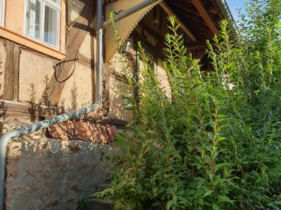 Bild 6 aus  Ferienhaus im Vorspessart