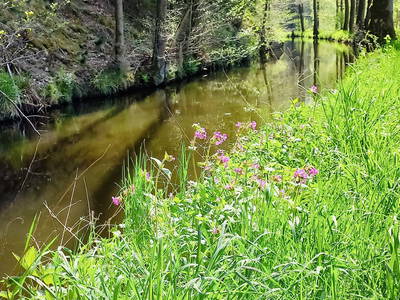 Bild 9 aus  Ferienhof & Campingplatz Schweinmühle