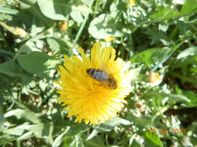 Bild 31 aus  Ferienhof Pauli