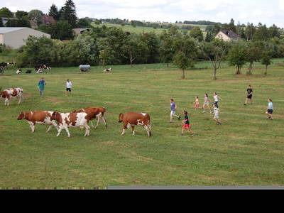 Bild 26 aus  Landgasthaus Hoffmann