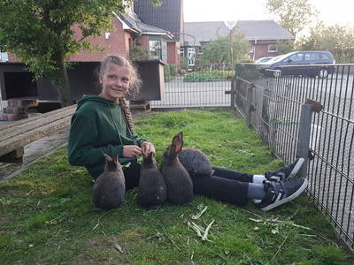 Bild 19 aus  Ferienhof Lorenzen