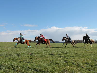 Bild 32 aus  Gut Sommereichen