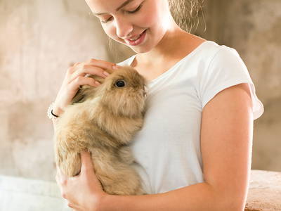 Bild 16 aus  Sonis kleine Farm Grömitz