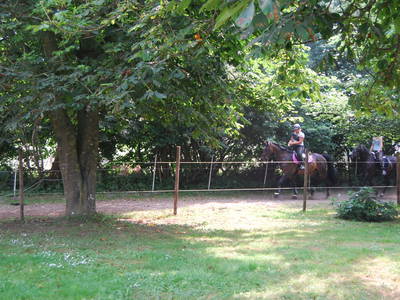 Bild 33 aus  Lindenhof