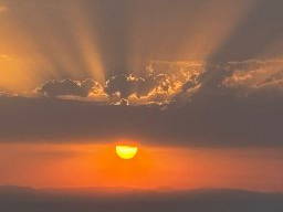 Bild 25 aus  Hof Vorwerk Familie Böye