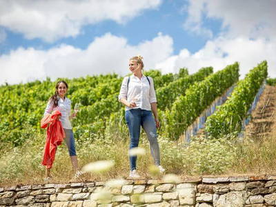 Bild 15 aus  Ferienwohnung Weingut Mathy Schanz