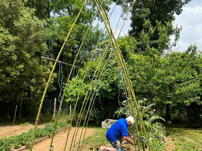 Bild 38 aus  Le Colombié - Ferienhäuser an der Dordogne mieten