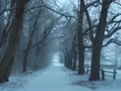 Bild 30 aus  Gutshof Hungerburg