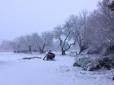 Bild 14 aus  Auszeithaus Brigittenhof