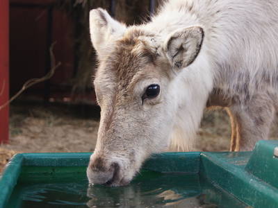 Bild 17 aus  Arendel - Das norwegische Dorf