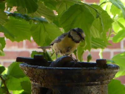 Bild 14 aus  Ferienhof  Moos