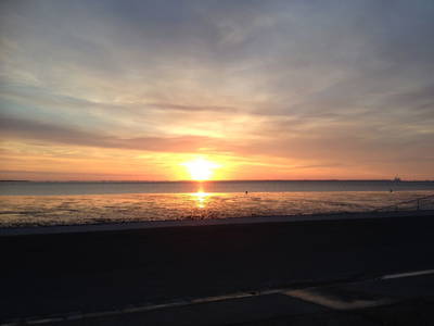 Bild 28 aus  Hof hinterm Deich