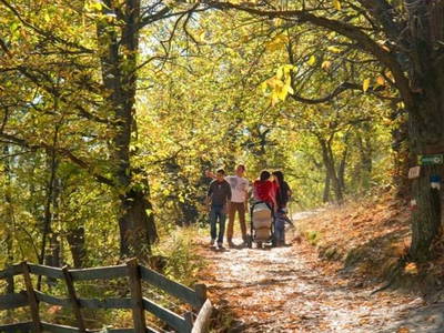Herbstzeit- Törggelezeit  mit wunderbar klarer Bergsicht