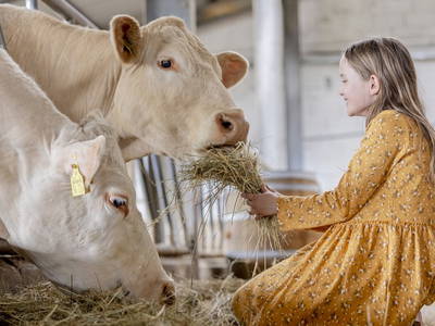 Bild 6 aus  LandSelection Hof Hardthöhe