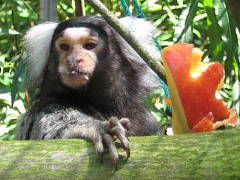 Bild 8 aus  Feriendorf Weinberghof