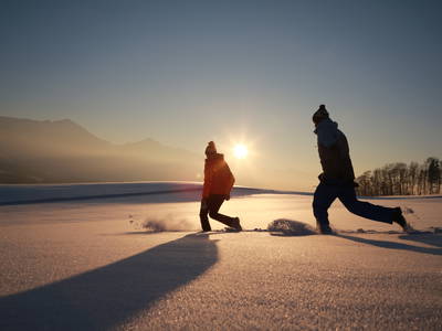 Bild 31 aus  LandSelection Ferienparadies Daxlberger Hof am Chiemsee