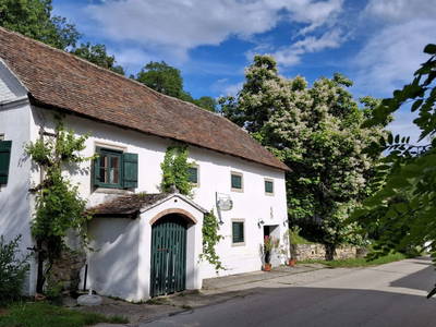 Bild 80 aus Ferienhaus Weinviertel