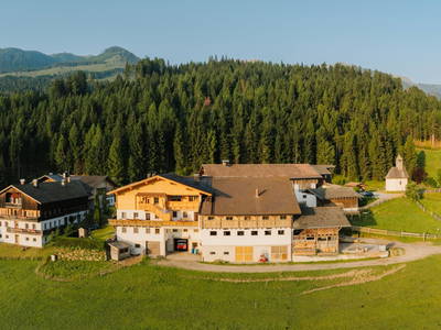 Bild 41 aus  Hattlerhof