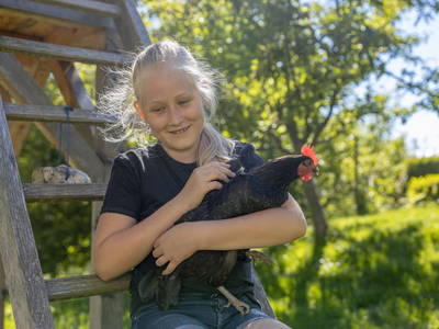 Bild 24 aus  Demobetrieb Bauernhof