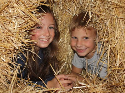 Bild 19 aus  Am Arkadenhof