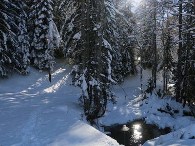 Bild 13 aus  Wallner Kasa