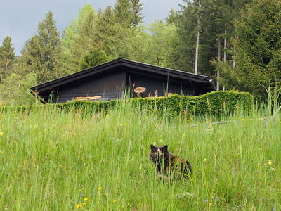 Bild 20 aus Holzblockhütten am Koflerhof