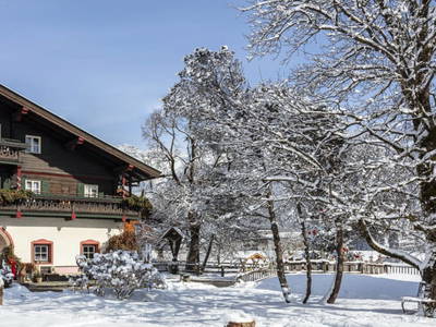 Bild 167 aus  Baby-/Kinderbauernhof Stefflhof