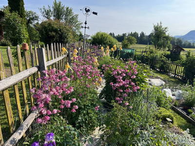 Bild 102 aus  Rutarhof