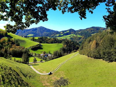 Bild 36 aus  Oberrehau