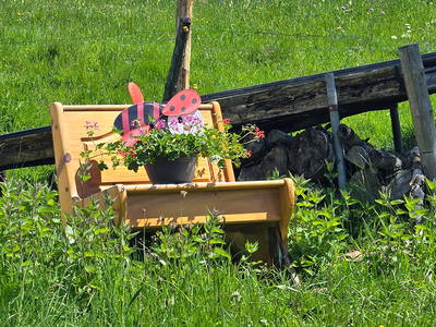 Bild 27 aus  Willkommen bei Familie Gutmann  auf dem Itzenwaldhof