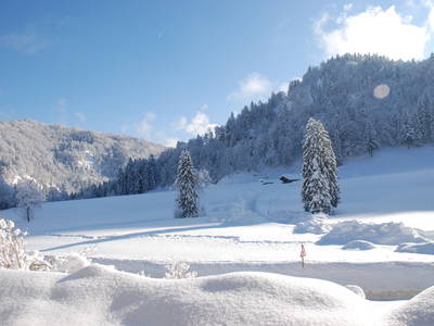 Bild 66 aus  Masererhof - Ferienbauernhof im Chiemgau