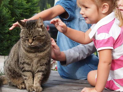 Bild 118 aus  Pesbichl