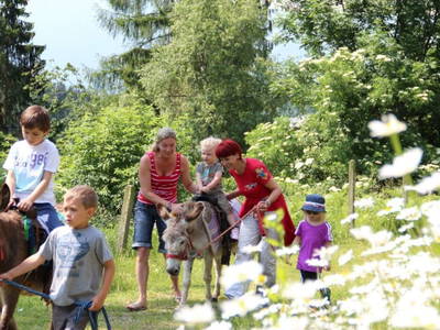 Bild 66 aus  Smiley Fluss Chalet