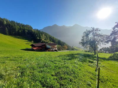 Bild 45 aus Wieserhof