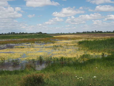 Bild 42 aus  Weingut - Ferienwohnungen KRACHER