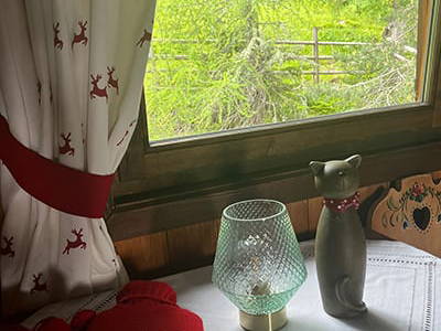 Bild 247 aus Neuwirth Hütte