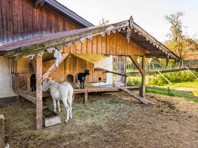 Bild 44 aus  Greischbergerhof