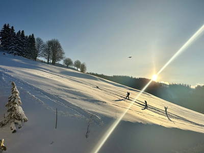 Bild 53 aus Spitalalm
