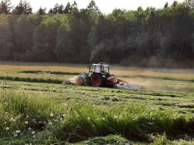 Bild 28 aus  Simmernhof - Familienurlaub auf dem Bauernhof
