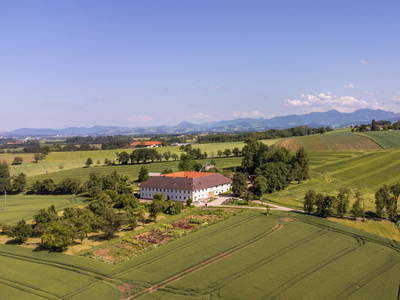 Bild 41 aus  Wildkrauts Kräuterbauernhof