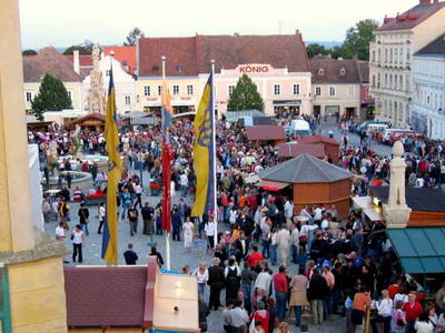 Bild 37 aus  Ferienhaus Weinviertel